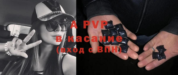 гашик Горно-Алтайск