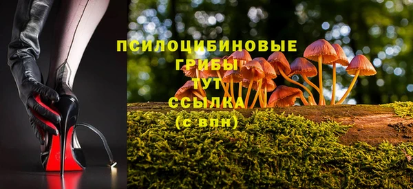 стафф Горнозаводск
