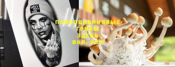 стафф Горнозаводск
