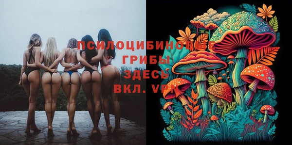 стафф Горнозаводск